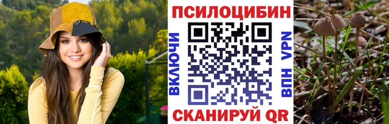 Псилоцибиновые грибы Magic Shrooms  как найти закладки  Приморск 