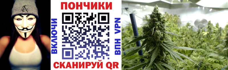 Марихуана план MEGA зеркало Приморск